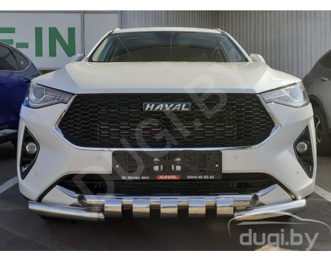 HAVAL F7X 2019-н.в. защита переднего бампера Tiger-G d60/d60 из нержавеющей стали